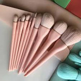 ست براش 10تکه پاستیلی